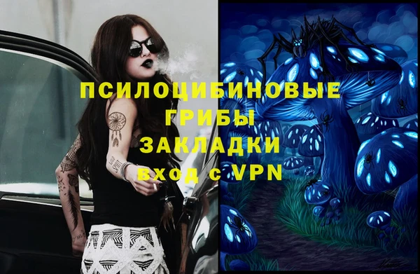 круглые Алексеевка