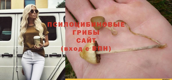 скорость Алексин