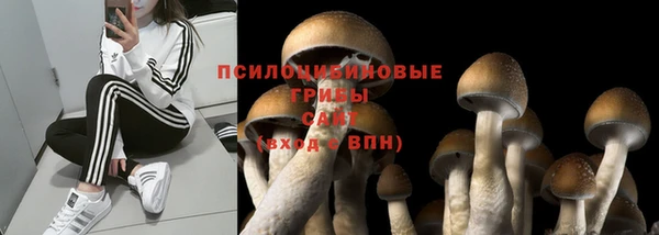 круглые Алексеевка