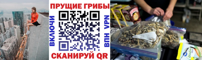 хочу   Сатка  Псилоцибиновые грибы ЛСД 